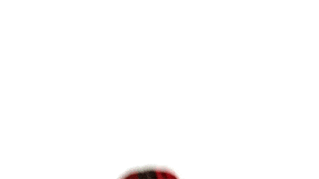 每日GIF(2021-01-20)的gif-Rose Flirt GIF by Lil Yachty