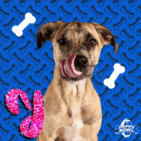 每日GIF(2021-01-22)的gif-Dog Tongue GIF by Puppy Bowl