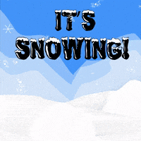 每日GIF(2021-01-22)的gif-Snow Day Dog GIF by GIPHY Studios Originals
