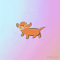 每日GIF(2021-01-22)的gif-Dog Be Safe GIF by Stefanie Shank