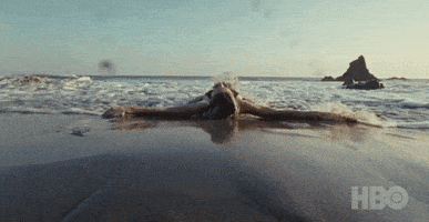 每日GIF(2021-01-24)的gif-Summer Beach GIF by euphoria