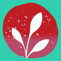 每日GIF(2021-01-24)的gif-Go Vegan Plant Based GIF by Flora Plant Butter