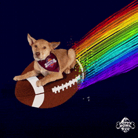 每日GIF(2021-01-24)的gif-Football Flying GIF by Puppy Bowl