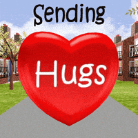 每日GIF(2021-01-26)的gif-Heart Big Hug GIF