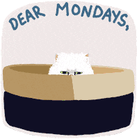 每日GIF(2021-01-26)的gif-Cats Monday GIF by Parker Jackson