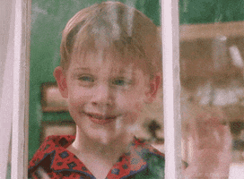 每日GIF(2021-01-27)的gif-Home Alone Reaction GIF by 20th Century Fox Home Entertainment