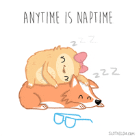 每日GIF(2021-01-27)的gif-Cartoon Sleeping GIF by SLOTHILDA