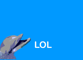 每日GIF(2021-01-28)的gif-Rainbow Lol GIF