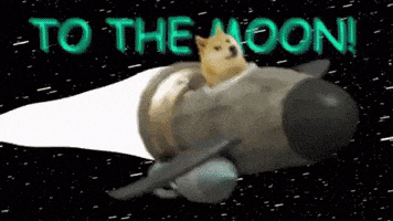 每日GIF(2021-01-30)的gif-To The Moon Meme GIF