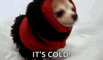 每日GIF(2021-01-30)的gif-Freezing Cold Weather GIF by MOODMAN