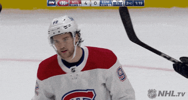 每日GIF(2021-02-01)的gif-Ice Hockey Reaction GIF by NHL