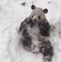每日GIF(2021-02-02)的gif-Snow Day GIF by Demic