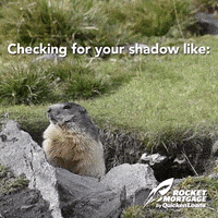 每日GIF(2021-02-03)的gif-Quicken Groundhog Day GIF by Rocket Mortgage