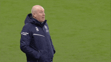 每日GIF(2021-02-06)的gif-Hands Up Yes GIF by QPR FC