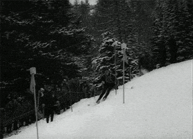 每日GIF(2021-02-06)的gif-Winter Games Vintage GIF by US National Archives