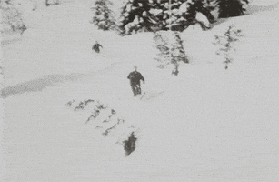 每日GIF(2021-02-07)的gif-Vintage Downhill Skiing GIF by US National Archives