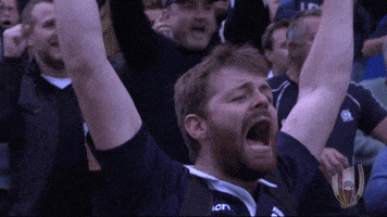 每日GIF(2021-02-07)的gif-World Cup Sport GIF by World Rugby