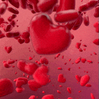 每日GIF(2021-02-09)的gif-I Love You Hearts GIF by Shurly