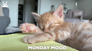 每日GIF(2021-02-09)的gif-Tired Mood GIF by Best Friends Animal Society