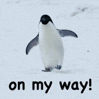 每日GIF(2021-02-11)的gif-Confused On My Way GIF by OceanX