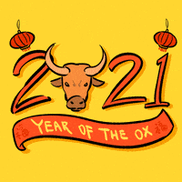每日GIF(2021-02-13)的gif-New Year Ox GIF by INTO ACTION
