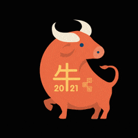 每日GIF(2021-02-13)的gif-China GIF by Chinatown London