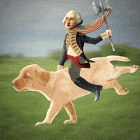 每日GIF(2021-02-16)的gif-On My Way Puppy GIF by Chris Timmons