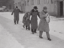 每日GIF(2021-02-18)的gif-Slipping Winter Is Coming GIF by Europeana
