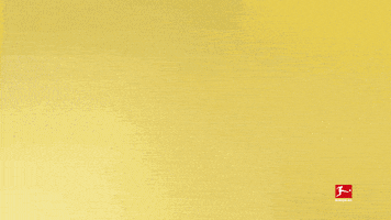 每日GIF(2021-02-18)的gif-Come And Get Me Borussia Dortmund GIF by Bundesliga