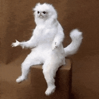 每日GIF(2021-02-19)的gif-Stuffed Cat Stuffed Monkey GIF by swerk