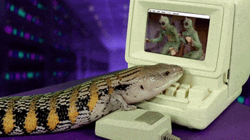 每日GIF(2021-02-20)的gif-Internet Computer GIF