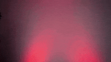 每日GIF(2021-02-21)的gif-College Sports Texas Tech Athletics GIF by Texas Tech Basketball