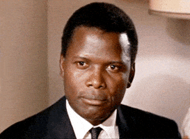 每日GIF(2021-02-21)的gif-Sidney Poitier GIF by Maudit