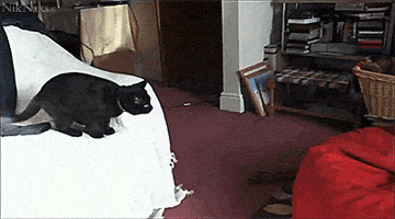 每日GIF(2021-02-21)的gif-Time Bed GIF