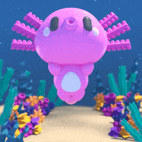 每日GIF(2021-02-25)的gif-Beach Swimming GIF by AshleyBlanchette