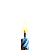每日GIF(2021-02-27)的gif-Happy Birthday GIF by TELUS