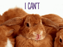 每日GIF(2021-02-27)的gif-I Cant Too Much GIF by TELUS