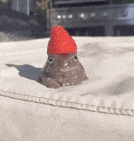 每日GIF(2021-03-02)的gif-Strawberry Fields Fruit GIF by Pog the Frog