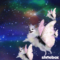 每日GIF(2021-03-05)的gif-Sci Fi Lol GIF by Hallmark Gold Crown