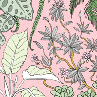 每日GIF(2021-03-08)的gif-Palm Trees Illustration GIF by Stefanie Shank