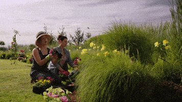 每日GIF(2021-03-13)的gif-Meghan Ory Family GIF by Hallmark Channel