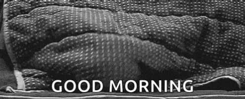 每日GIF(2021-03-13)的gif-Good Morning GIF
