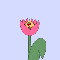 每日GIF(2021-03-16)的gif-Valentines Day Love GIF by CsaK