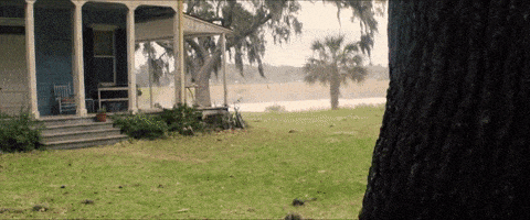 每日GIF(2021-03-17)的gif-Captain America No GIF by Leroy Patterson