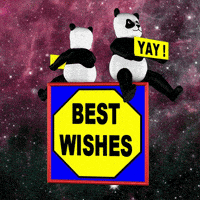 每日GIF(2021-03-18)的gif-Best Wishes Good Luck GIF
