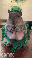 每日GIF(2021-03-18)的gif-St Patricks Day Eating GIF by Cameo