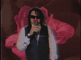 每日GIF(2021-03-21)的gif-The Room Love GIF by Tommy Wiseau