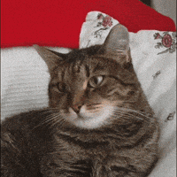 每日GIF(2021-03-21)的gif-Error Connection GIF