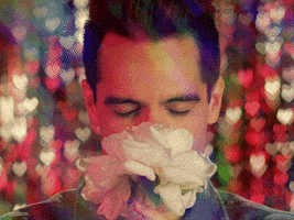 每日GIF(2021-03-21)的gif-Brendon Urie Flirting GIF by Panic! At The Disco