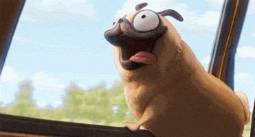 每日GIF(2021-03-24)的gif-Dog Puppy GIF by Sony Pictures Animation